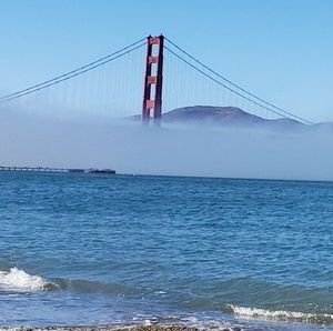 Meet your Posher, Moises